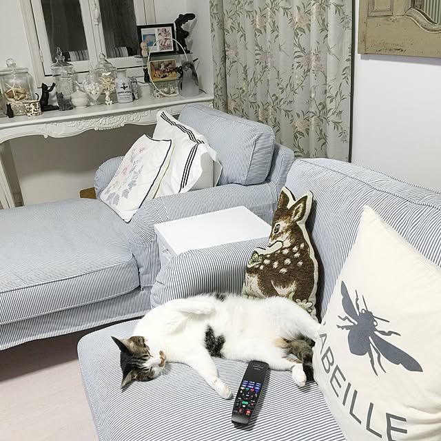 yuchiさんの実例写真