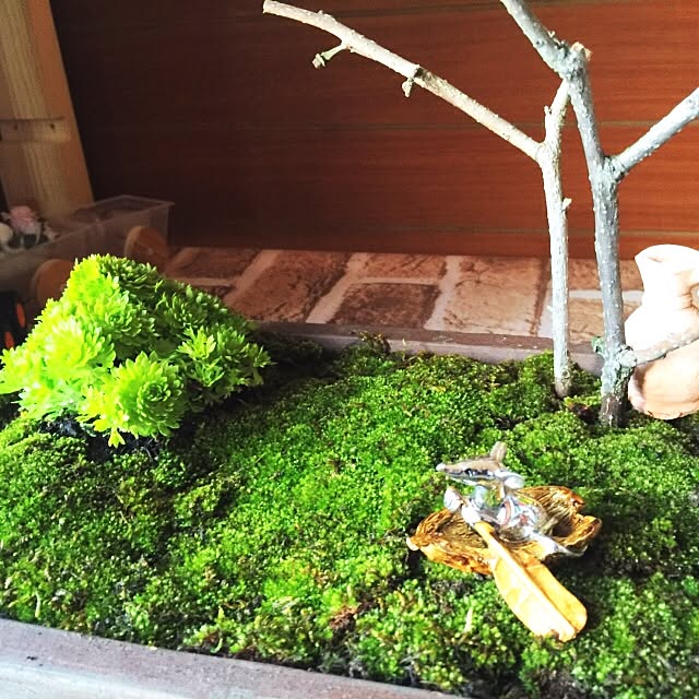 tarohagiharaさんの実例写真