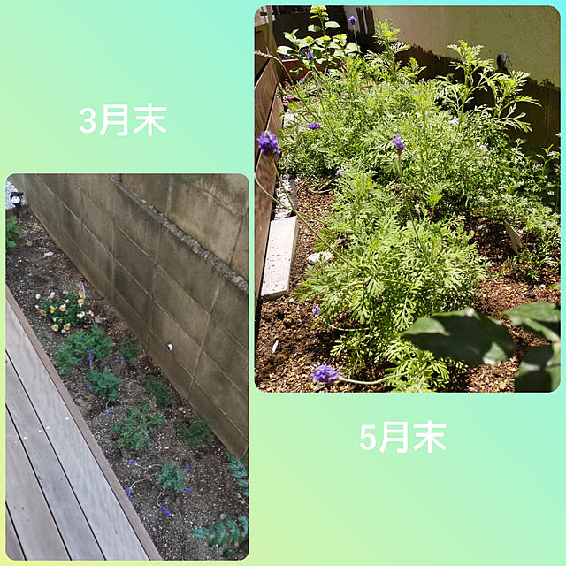 Maroさんの実例写真