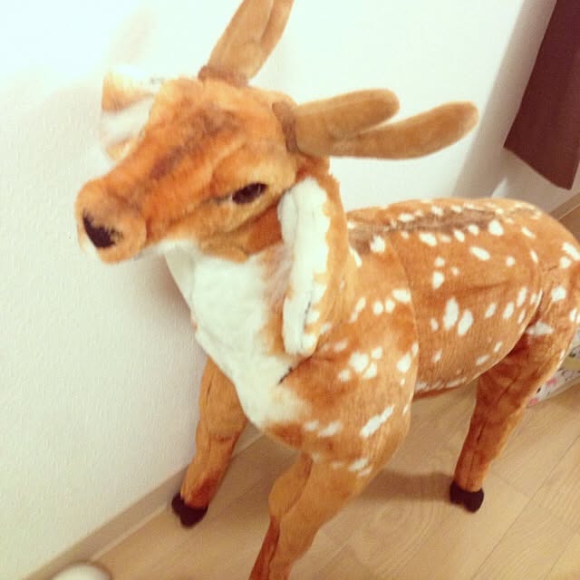 Norinさんの実例写真