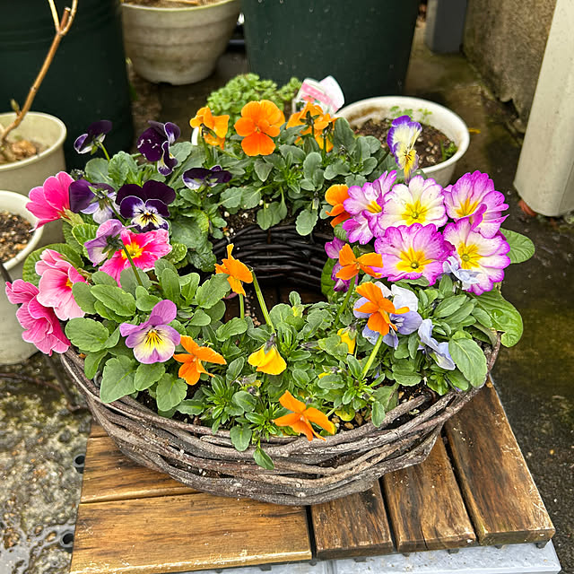 fumikoiさんの実例写真