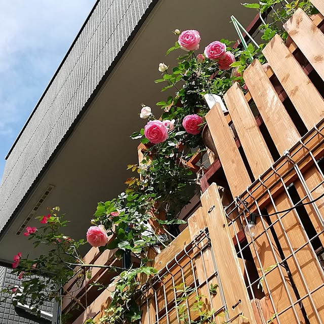 kazuさんの部屋