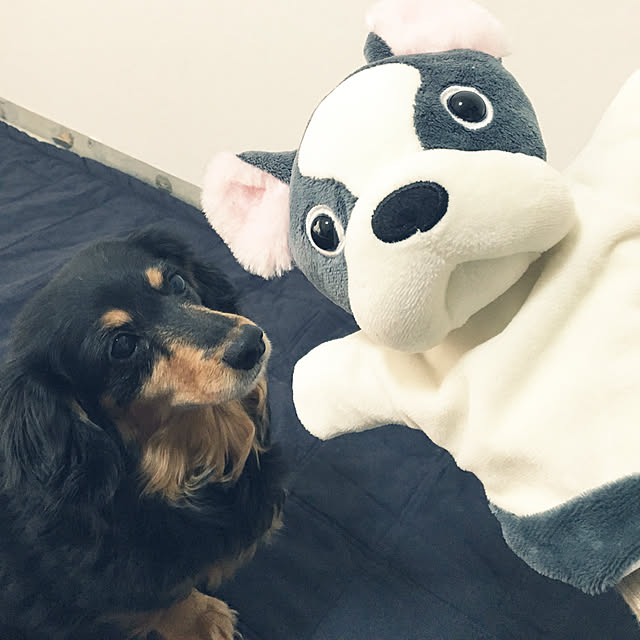 ohanaさんの実例写真