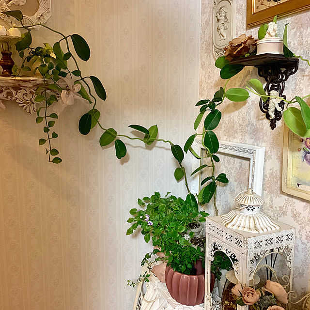 AYUKOさんの実例写真