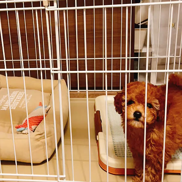 eriharuさんの実例写真