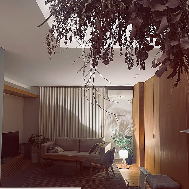 Instagram始めました/グレー好き/北欧インテリアに憧れる/観葉植物のある暮らし/ドライフラワーのある暮らし...などのインテリア実例 - 2022-12-07 22:44:00