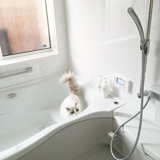 yuchiさんの実例写真