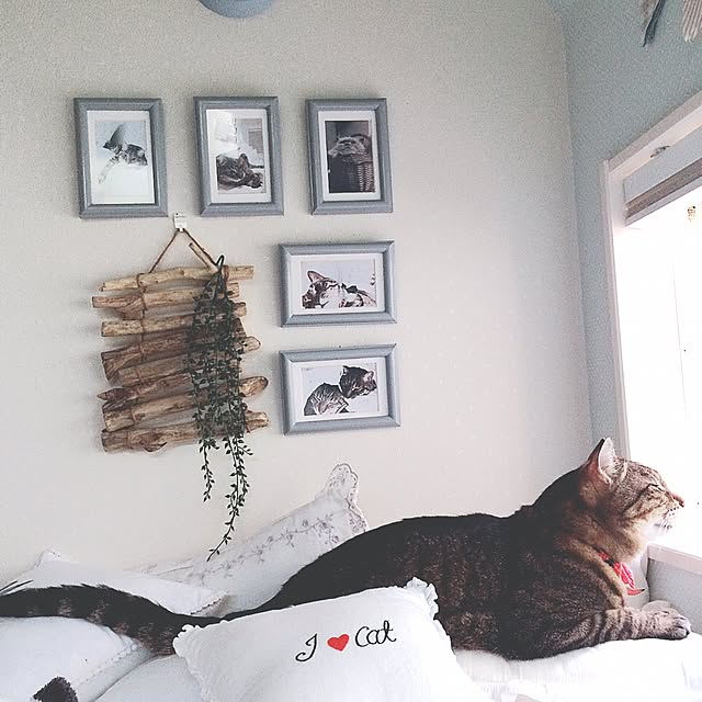 lovecatさんの実例写真