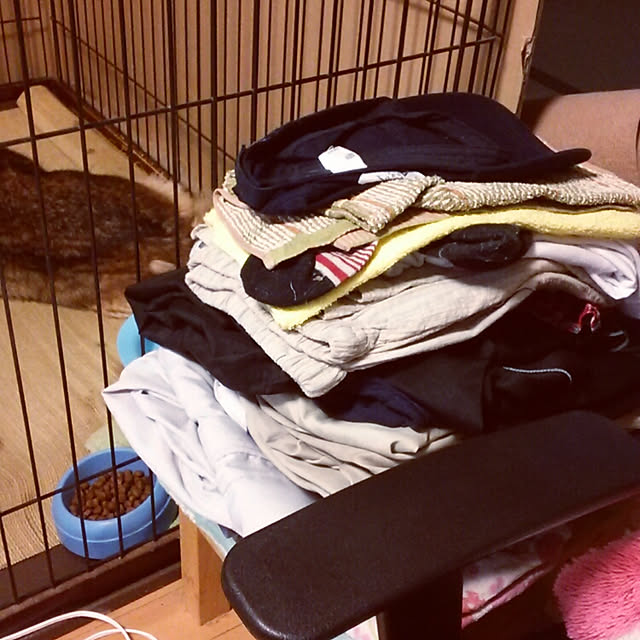 mihoさんの実例写真