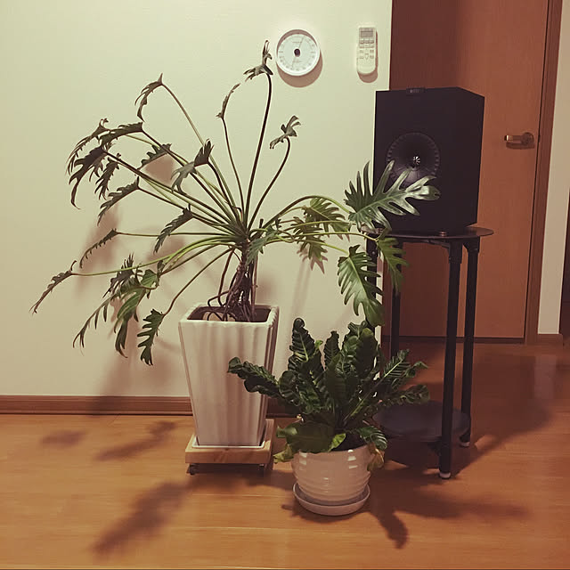 monkさんの実例写真