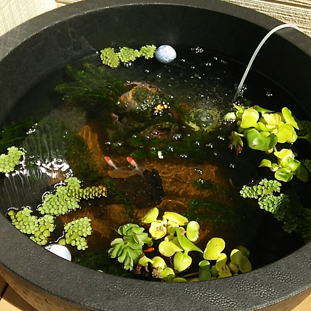 TandFさんの実例写真