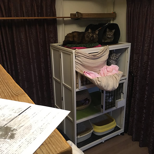 mikomaruさんの実例写真