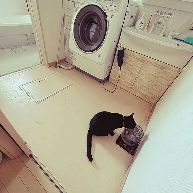 beer.chanさんの実例写真