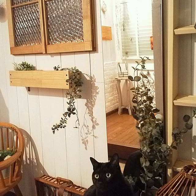 mikiさんの実例写真