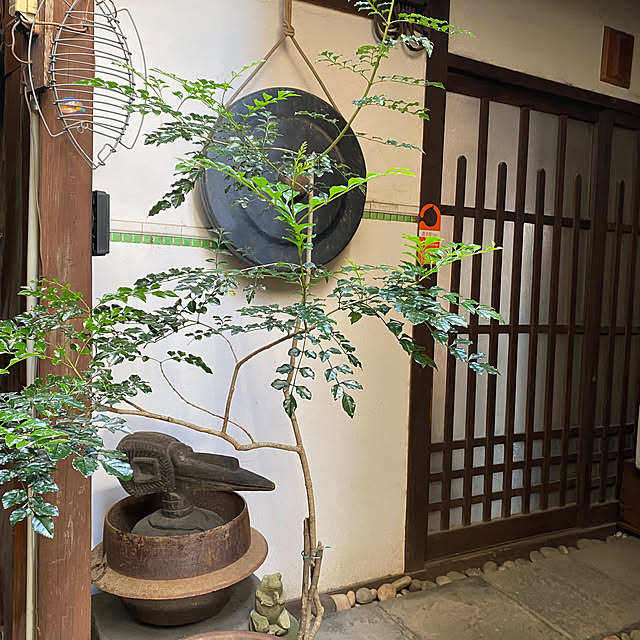 mukuさんの部屋