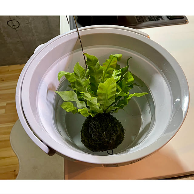hidemaroomさんの実例写真
