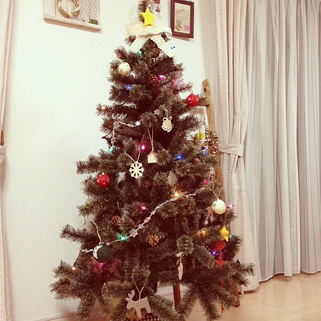 実例写真