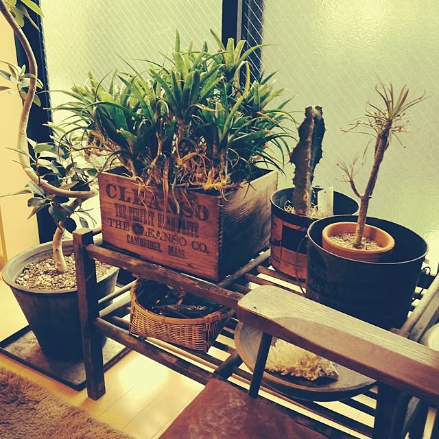 KINUさんの実例写真