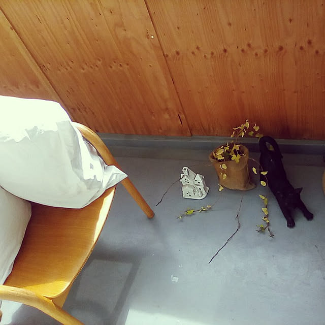 catloveさんの実例写真