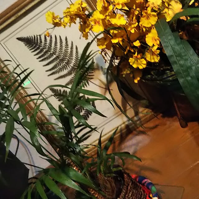 foxystyle01さんの実例写真