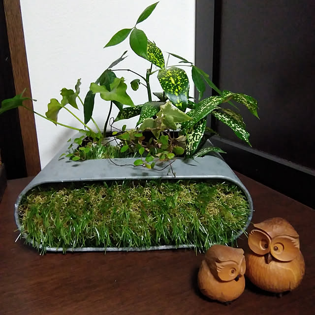 kakkaさんの実例写真