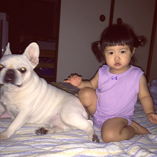 sorasakuさんの実例写真