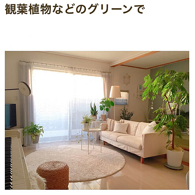 Rさんの実例写真