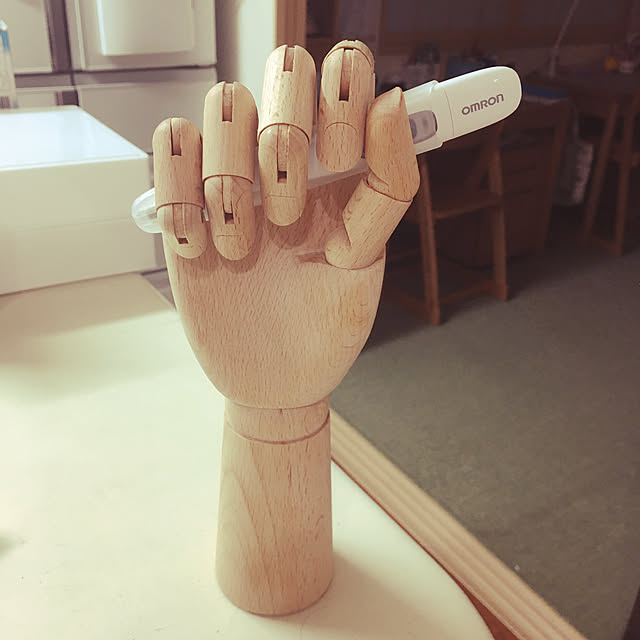 GACHAPINさんの実例写真