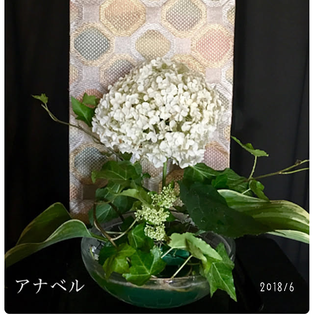 macmacさんの実例写真