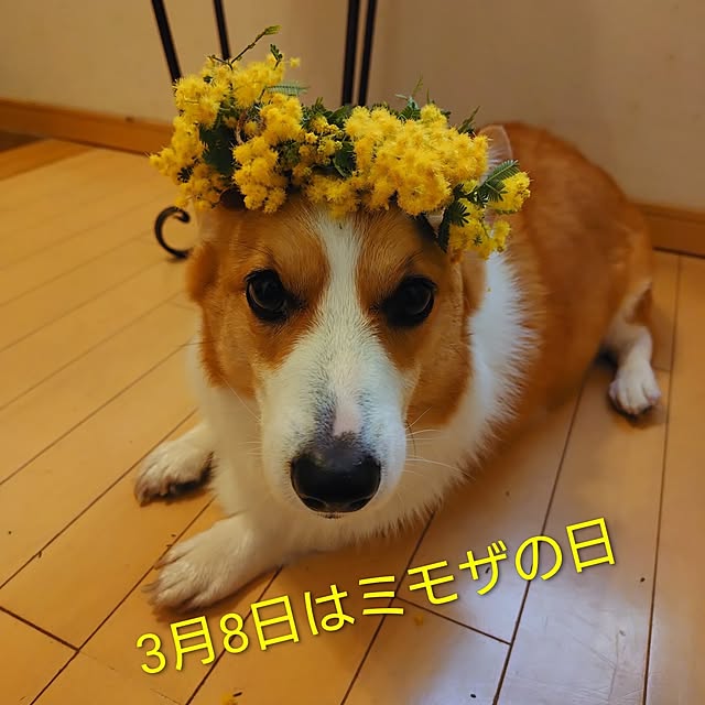 kyon814さんの部屋