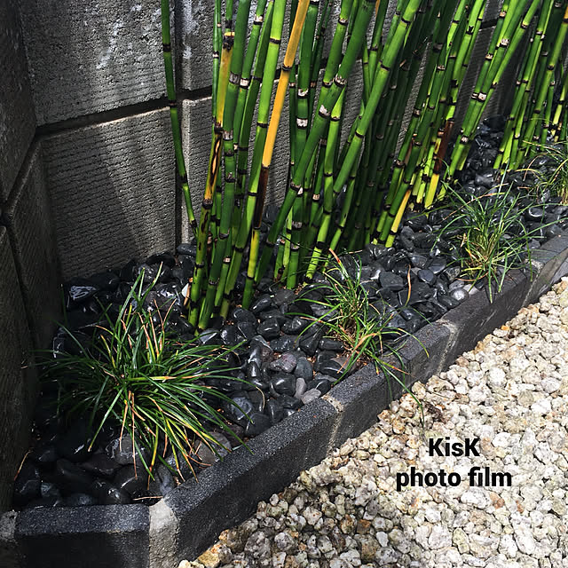 KisKさんの実例写真