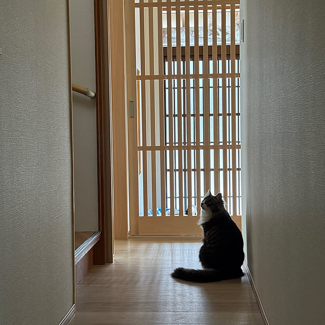 nekoloveさんの部屋