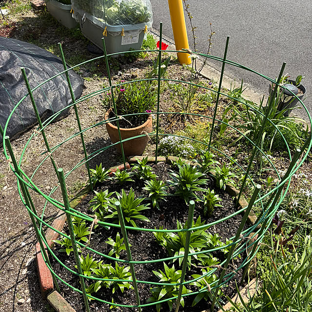 ritsukoさんの部屋