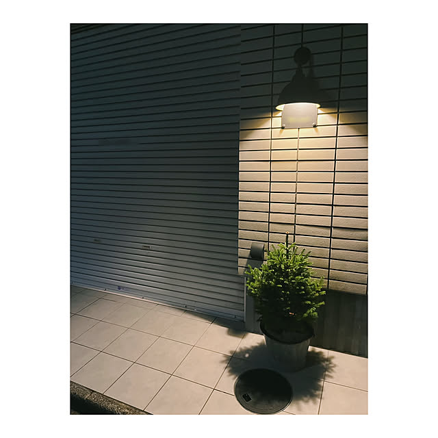 BTGさんの部屋