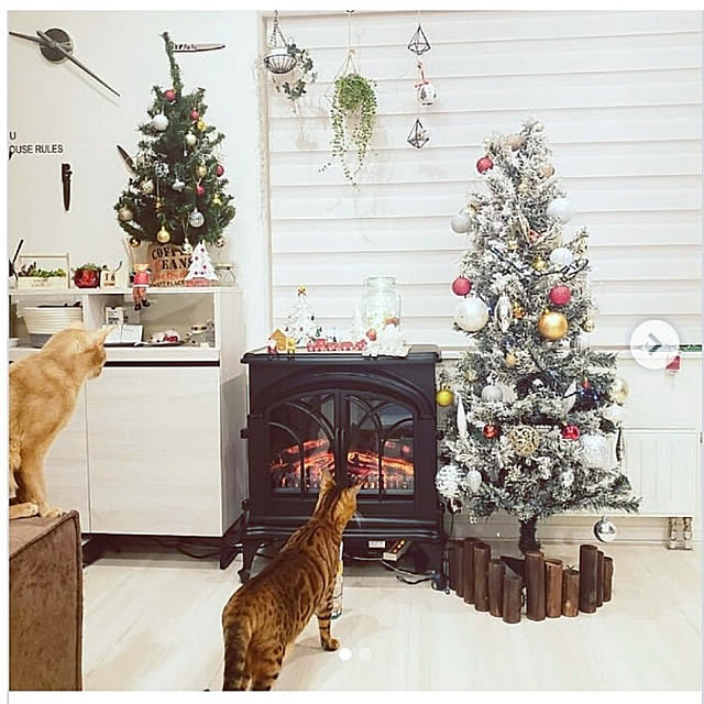 megu.catさんの実例写真