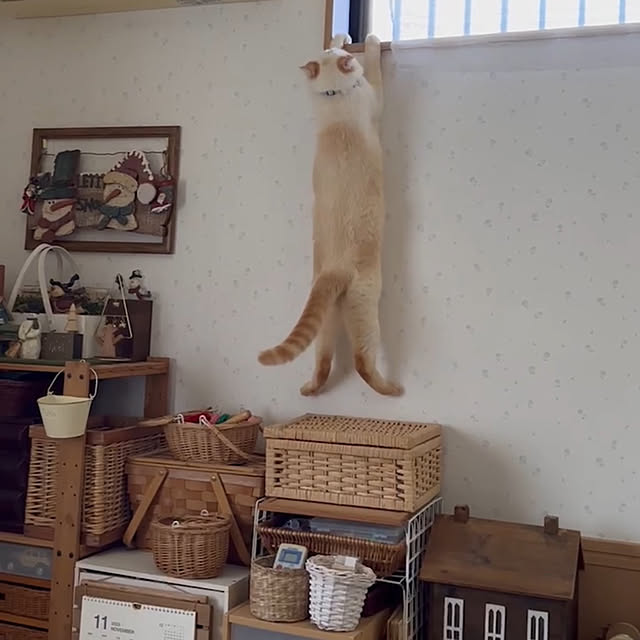 mohhaさんの部屋