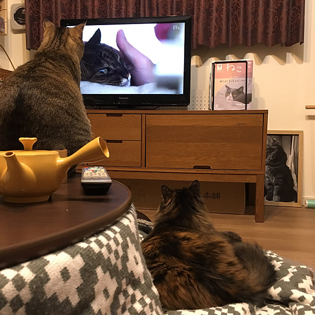 mikomaruさんの実例写真