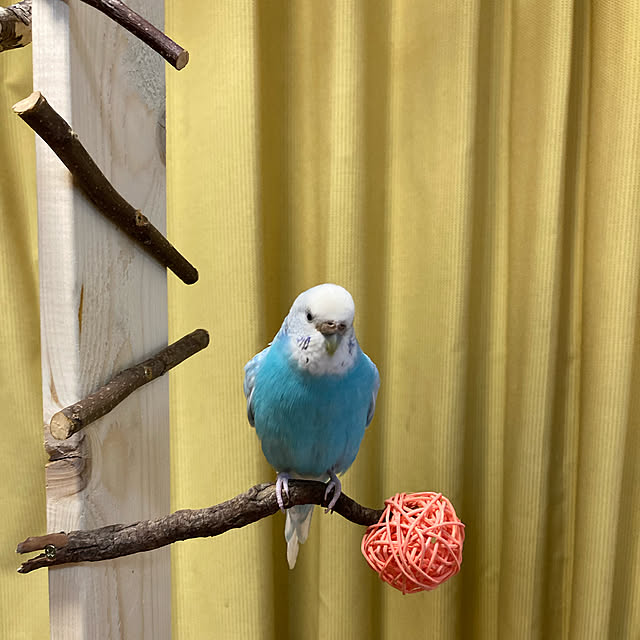 chateaさんの実例写真