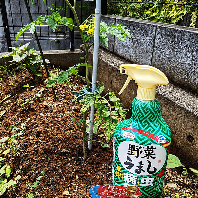 shizuponさんの実例写真