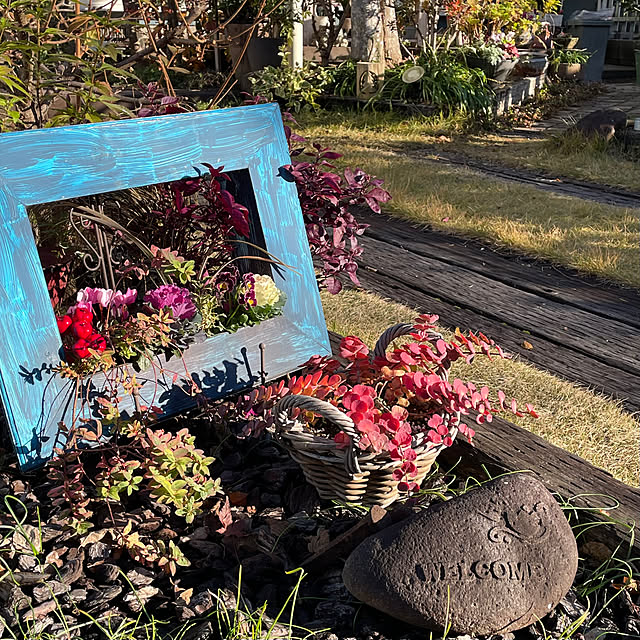 nobikoさんの部屋