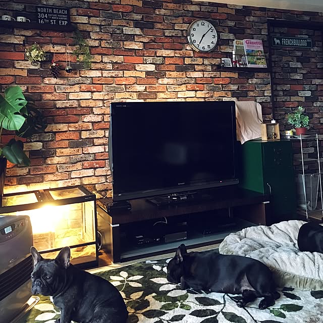 oggy0301さんの実例写真