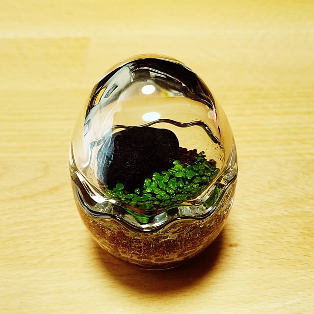 Hathawayさんの部屋