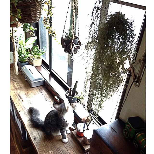 jnkaiさんの実例写真