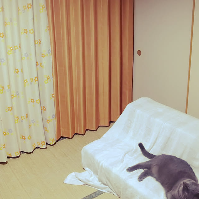 h-a-ri.mamaさんの実例写真