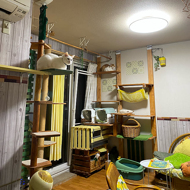 SHIHOさんの実例写真