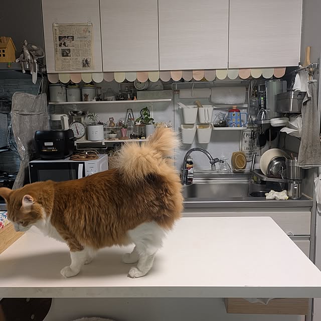 mori_6_12さんの部屋