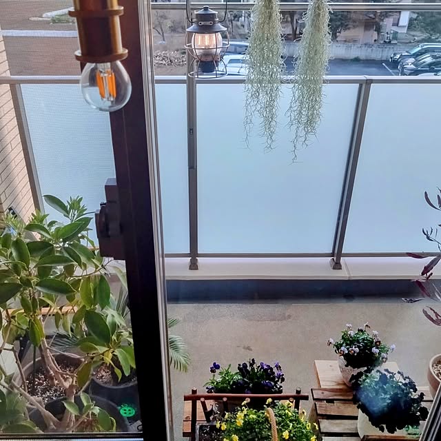 Petit_Pommierさんの実例写真