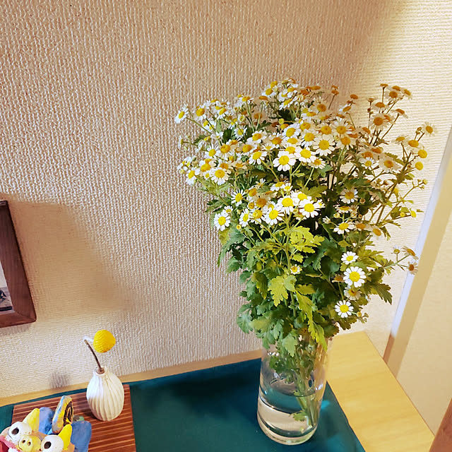 shishishi24koさんの実例写真