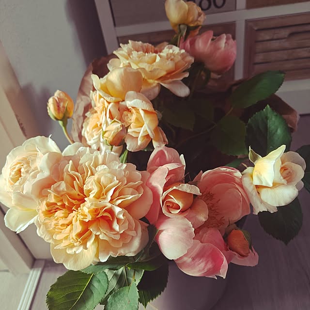 玄関/入り口/ご訪問ありがとうございます✨✨✨✨/スイス/海外在住/薔薇のインテリア実例 - 2025-06-06 20:24:44