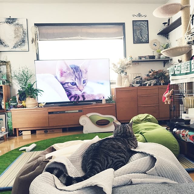 hiro3さんの実例写真